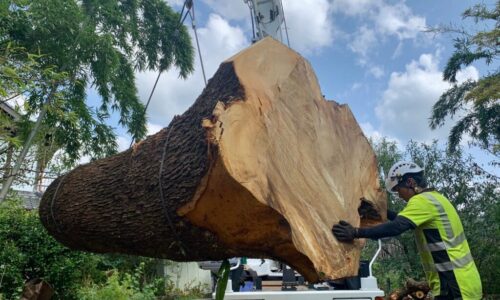 高木邸　菊陽町大字_200921_11